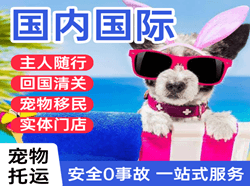 丽江机场快运国际宠物托运 【国